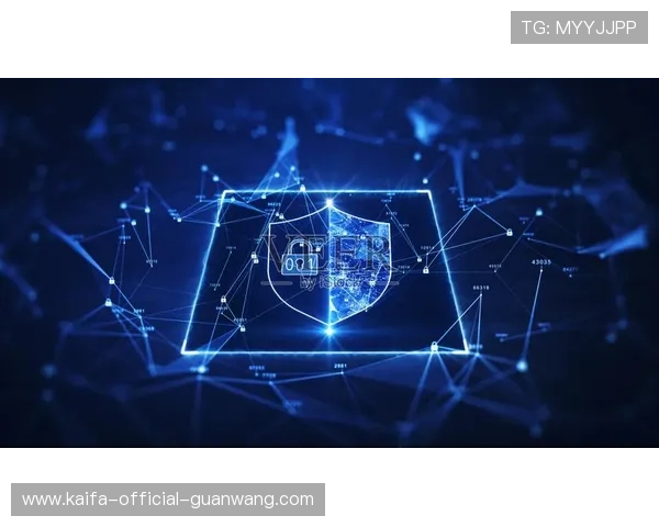 k8凯发官网安全登录指南确保账号信息安全与隐私保护