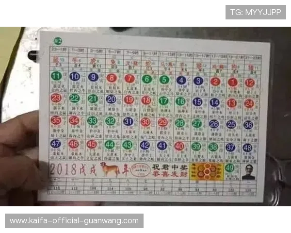 龙虎斗六合彩赌博玩家必看指南，全面解析游戏规则、投注技巧与风险管理