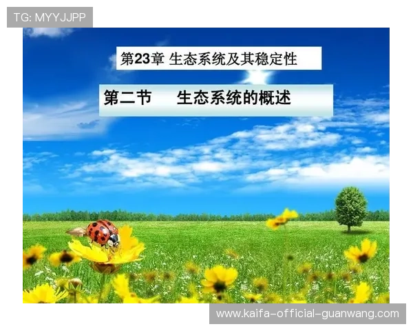 深入了解K8体育网站的技术支持与系统稳定性保障措施